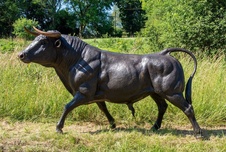 Zámecká bronzová socha - Býk