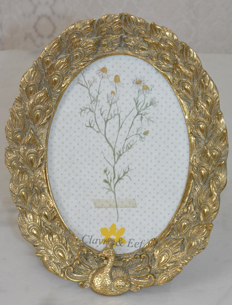 Retro foto-rámeček s pávem