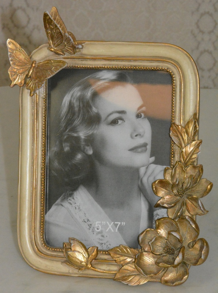 Retro foto-rámeček s motýly
