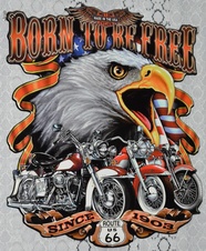 Retro plechová cedule - Route 66